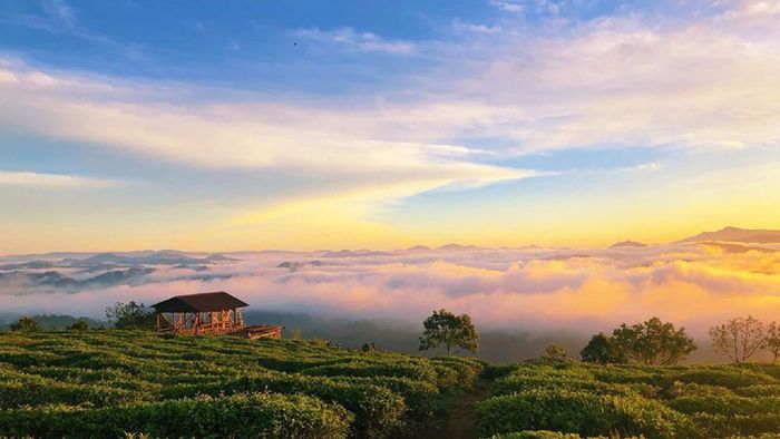 thoi-tiet-da-lat-thang-12-nang-diu-nhe-troi-se-lanh