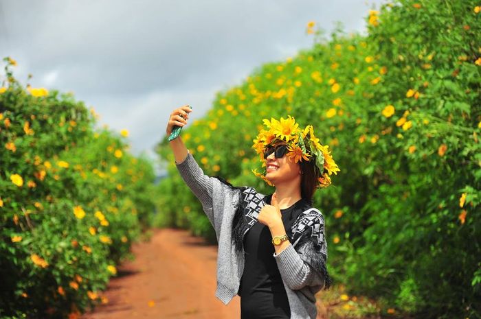 thoi-tiet-da-lat-thang-12-hoa-da-quy-no-vang-ruc-ro