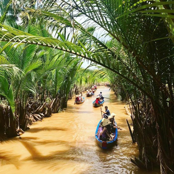 Du khách du ngoạn ở Cồn Phụng