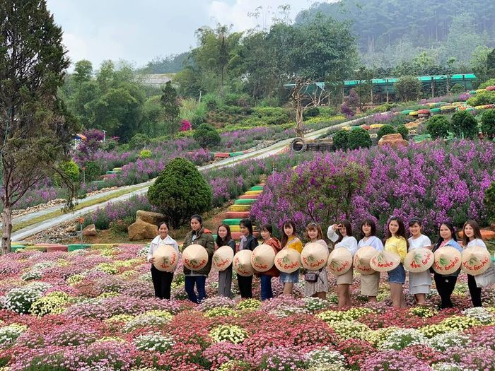 tour-du-lich-duoi-3-trieu-da-lat