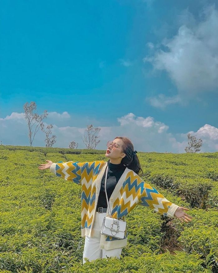 Tour du lịch kích cầu giá rẻ
