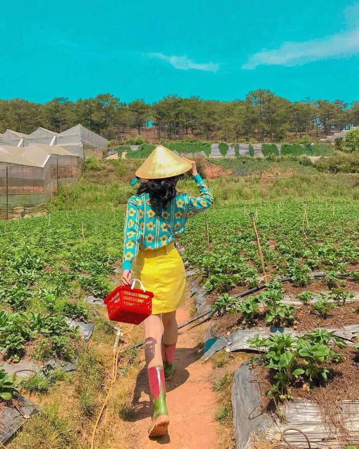 tour-da-lat-gia-re