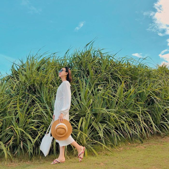 check-in-quy-nhon