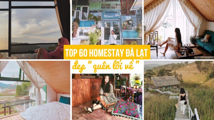 homestay-da-lat-gia-re-view-dep