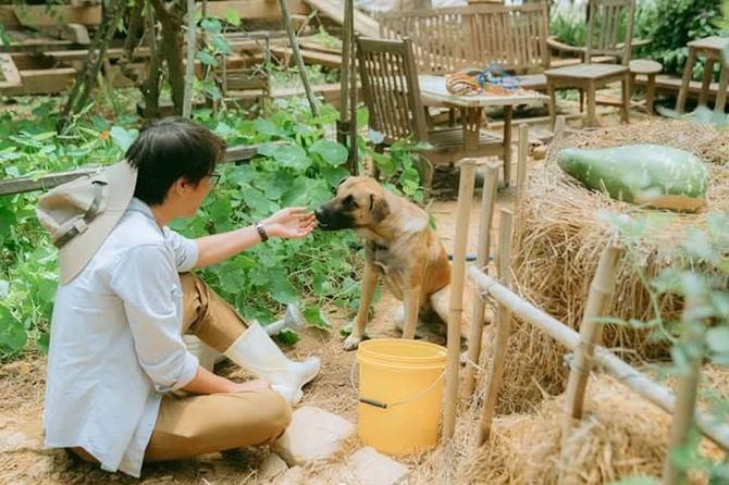 tres-homestay-da-lat