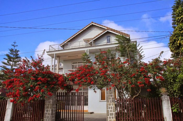co-lien-homestay-da-lat