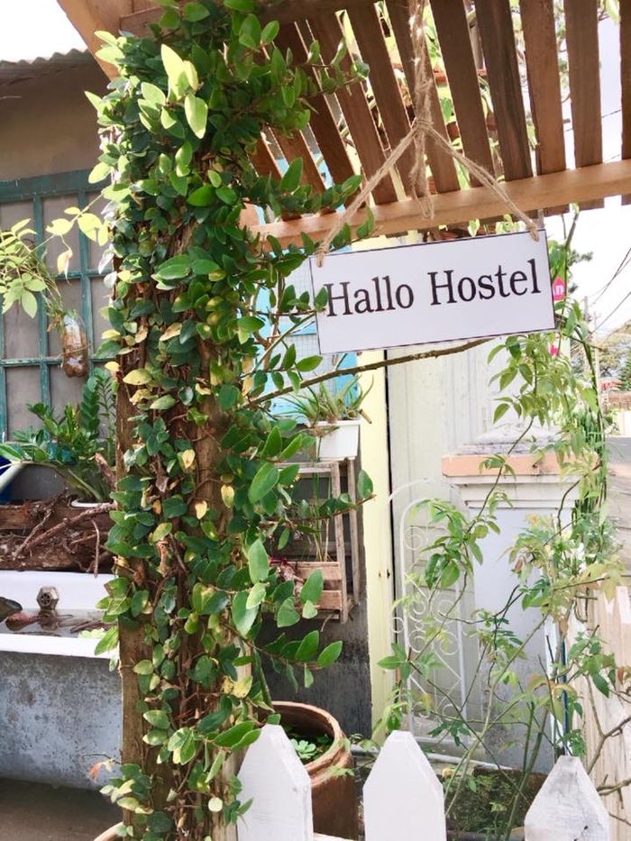 hallo-hostel-da-lat