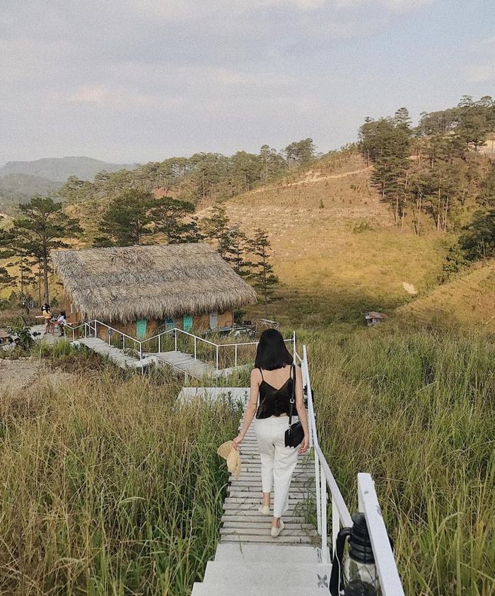 the-wilder-nest-homestay-da-lat-2
