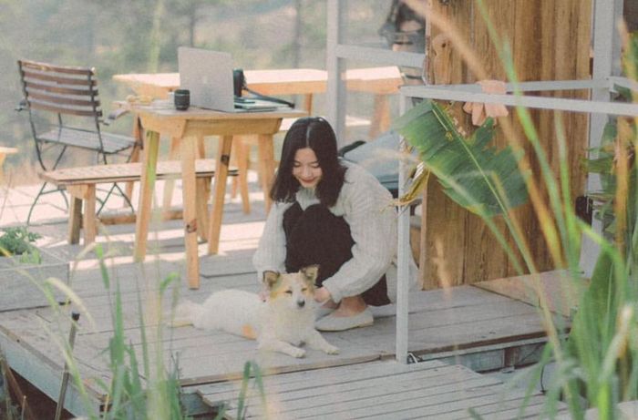 the-wilder-nest-homestay-da-lat-1