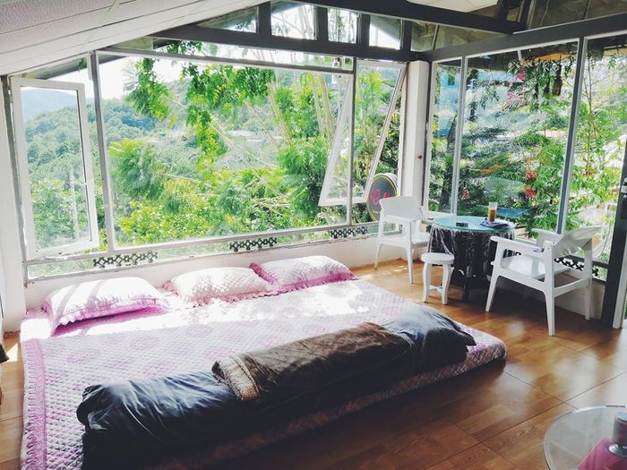 sweet-home-da-lat-2