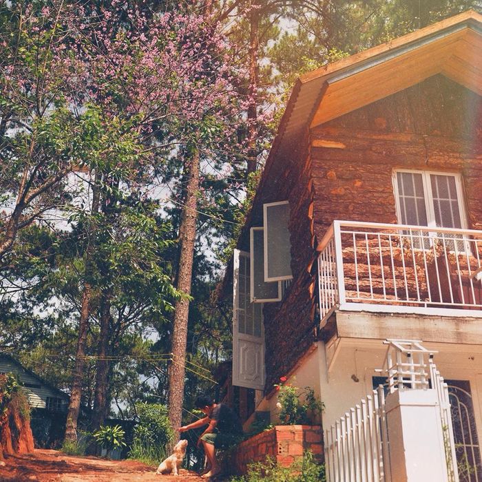 indigo-da-lat-home-2