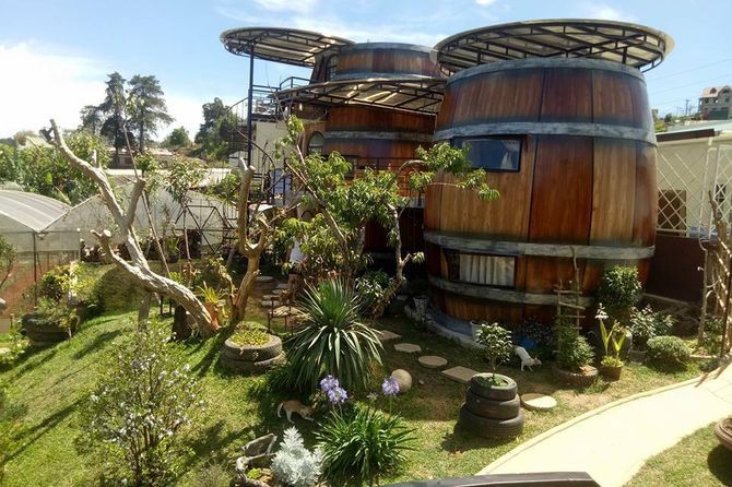 wine-valley-homestay