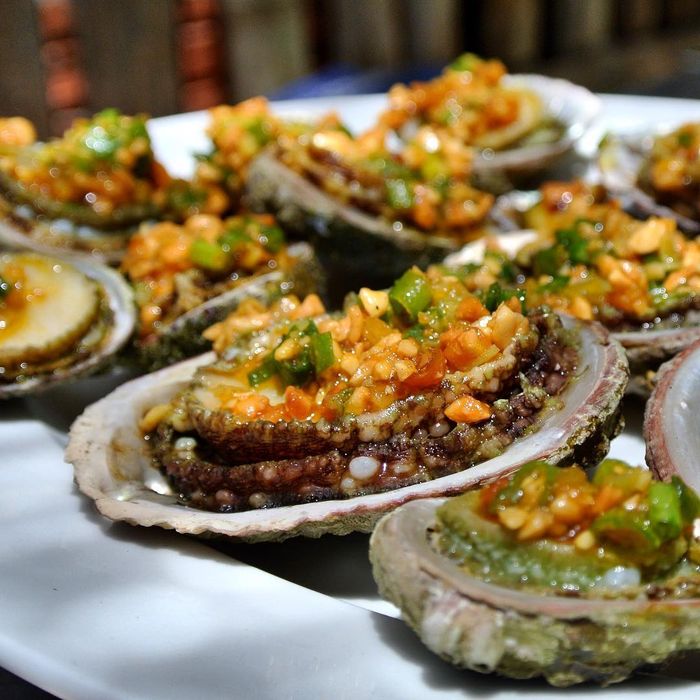 bao-ngu-cu-lao-cham-1