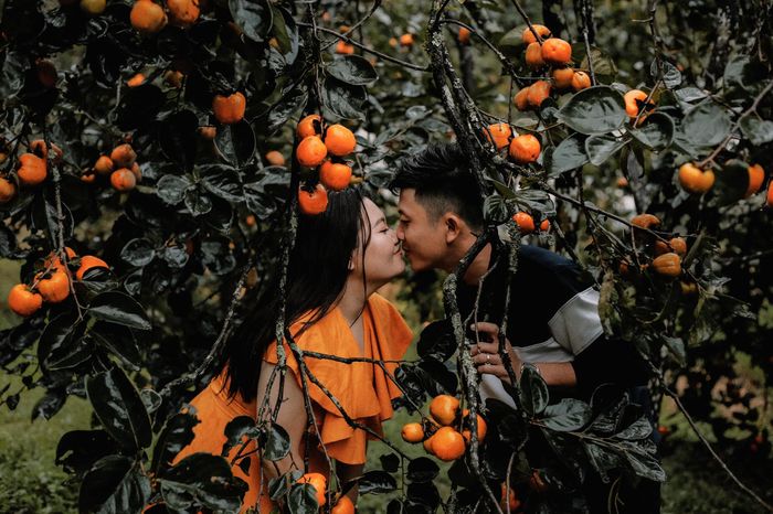mùa hồng đà lạt
