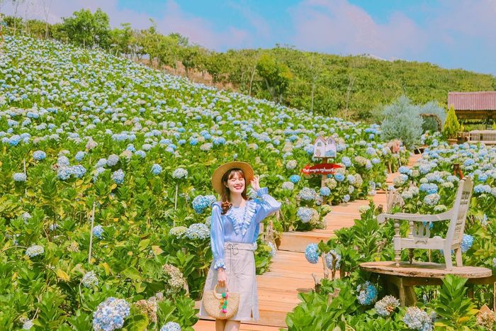 Tết tây du lịch ở đâu