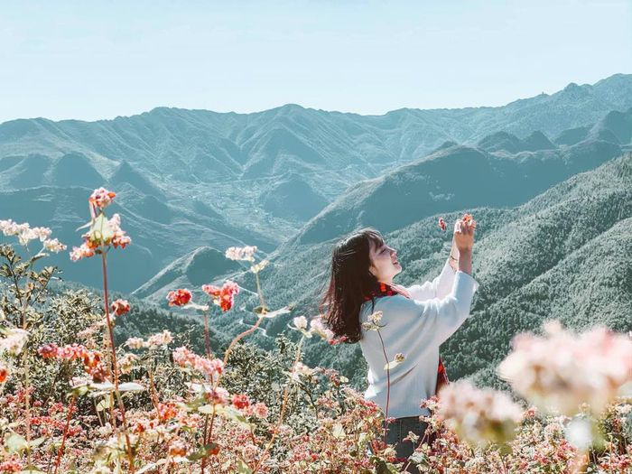 Tết tây du lịch ở đâu