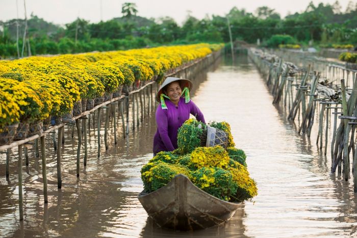 Tết tây du lịch ở đâu