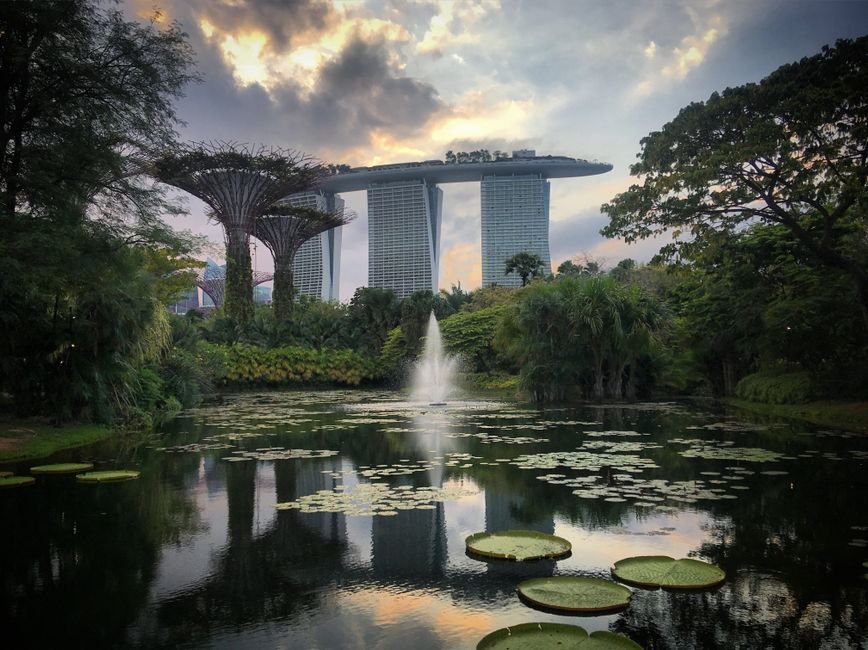 Toàn cảnh Singapore với Marina Bay Sands, Supertree Grove và tượng Merlion vào buổi hoàng hôn