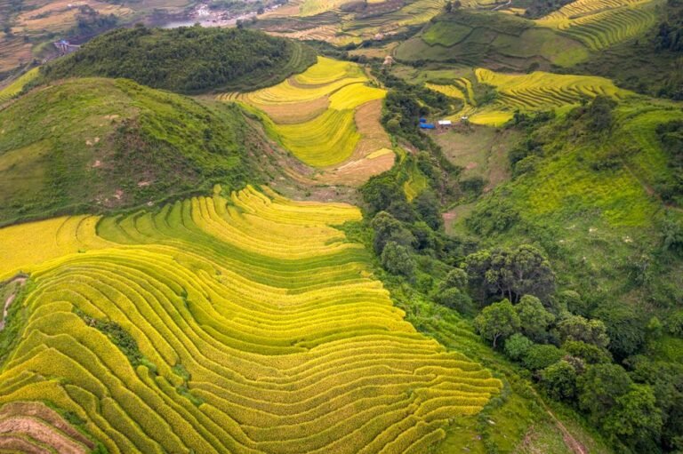 Bức tranh tổng hợp về vẻ đẹp đa dạng của Việt Nam qua các miền: núi non hùng vĩ, vịnh biển thơ mộng, phố cổ lung linh và sông nước miền Tây