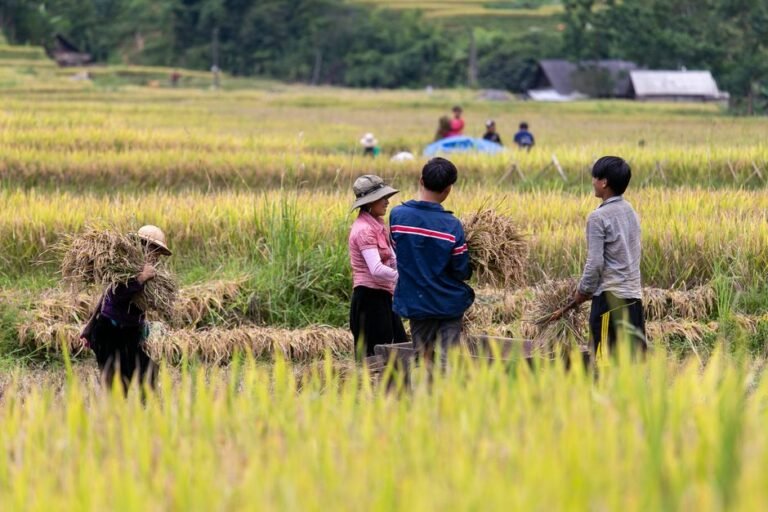 Gia đình Việt Nam vui vẻ chụp ảnh tại ruộng bậc thang Sapa, biểu tượng cho tour trọn gói linh hoạt và trải nghiệm đáng nhớ.