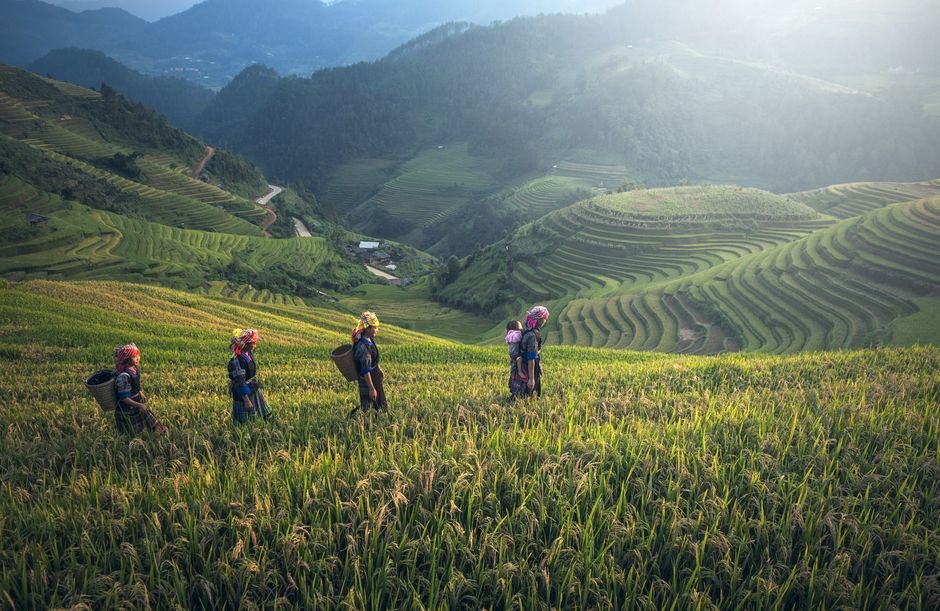 Khách du lịch tận hưởng vẻ đẹp ruộng bậc thang Sapa và giao lưu với người dân địa phương trong một ngày nắng đẹp.